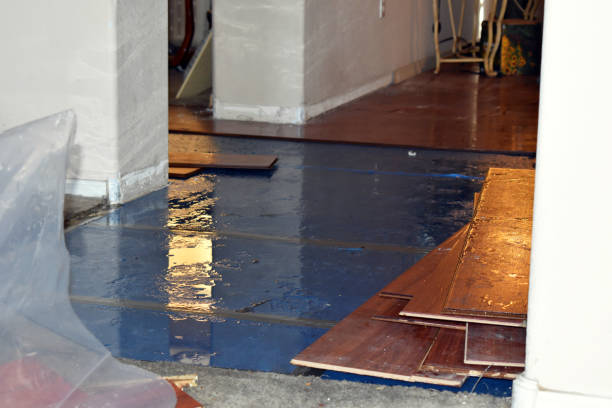 Professional Burst Pipe Cleanup technician working in Victor, ID